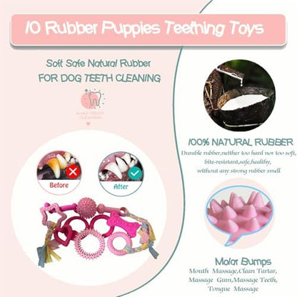 20-Piece Puppy Teething Chew Toy Bundle for Small Medium Dogs - Image 5