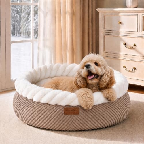 FUKUMARU Cute Cat Bed, 25in Large Round Cat Beds for Indoor Cats, Washable by FUKUMARU