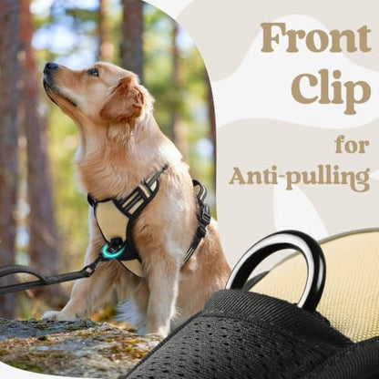 rabbitgoo Dog Harness Small Sized, Updated Easy On & Off with 3 Buckles - Image 7