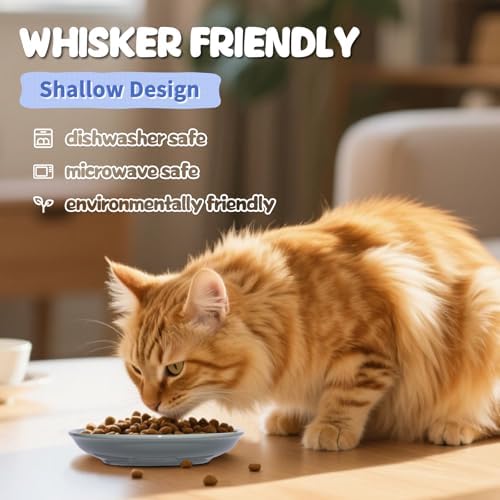 [8 Pack] Ceramic Cat Food Bowl, Colorful Cat Bowls Whisker-Friendly, 5.9" Shallow Wide Kitten Plates, Easy to Clean Indoor Feeding Dishes - Image 5
