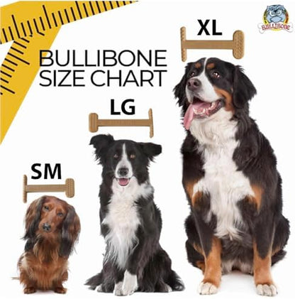 Bullibone Nylon Dog Chew Toy for Aggressive Chewers - Dental Hygiene Bone with Peanut Butter Flavor, Durable Tough Chew Toys for Small Dogs, Indestructible Dog Bone - Single - Image 7