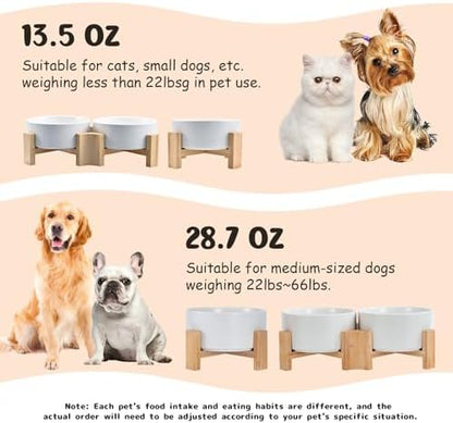 SPUNKYJUNKY 15° Slanted Ceramic Dog and Cat Bowl with Wooden Stand, Tilted Bulldog Food and Water Bowl No Slip Non-Spill for Cats Medium Dogs Big Face Pets 13.5 OZ (1.7 Cups, White × 2) - Image 5