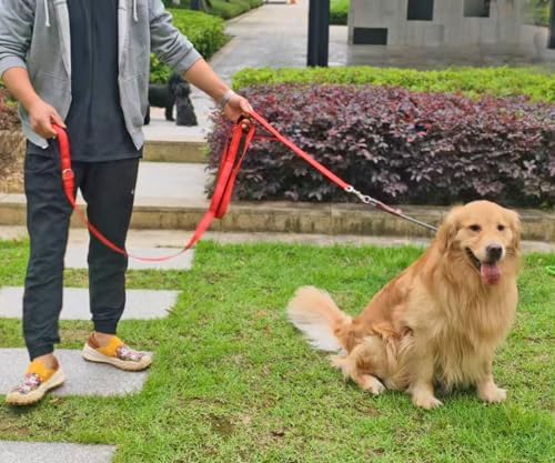 10FT Dog Leash with Traffic Handle Reflective Large Medium Dog - Image 6