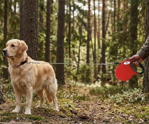 16ft Retractable Dog Leash for Large Breed Dogs up to 110 lbs with a Detachable Chew Proof Extender Wire Ropes (Red L) - Image 3