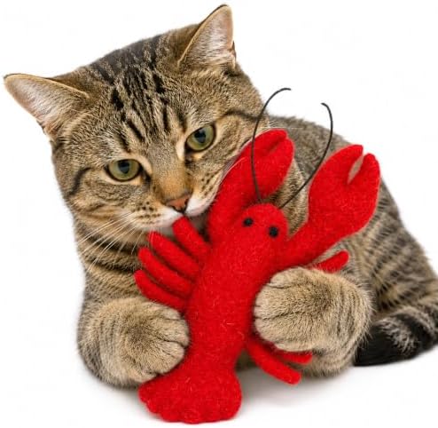 Glaciart One Wool Lobster Cat Toy with Catnip | Interaction & Boredom Relief, Encourages to Exercise, Explore & Play | Filled w/Organic Herbs to Help Sooth or Reduce Anxiety by GlaciartOne