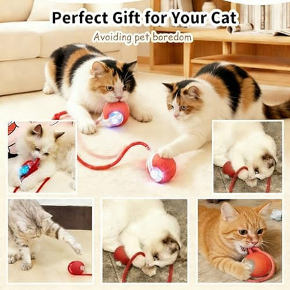 Interactive Cat Toy Ball, Automatic Cat Toys for Indoor Cats with 3 Modes - Image 5
