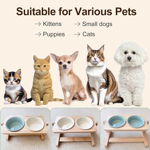 Elevated Cat Bowl, 12 Ounce Ceramic Raised Cat Bowl for Dry and Wet Food, 2 Dishs with Adjustable Wood Stand, for Indoor Kitten, Cats and Puppy, Dishwasher Safe (Cream+Green - Image 7