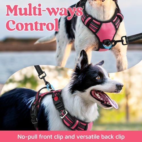 rabbitgoo Dog Harness Small Sized, No Pull 3 Buckles Easy On & Off - Image 3