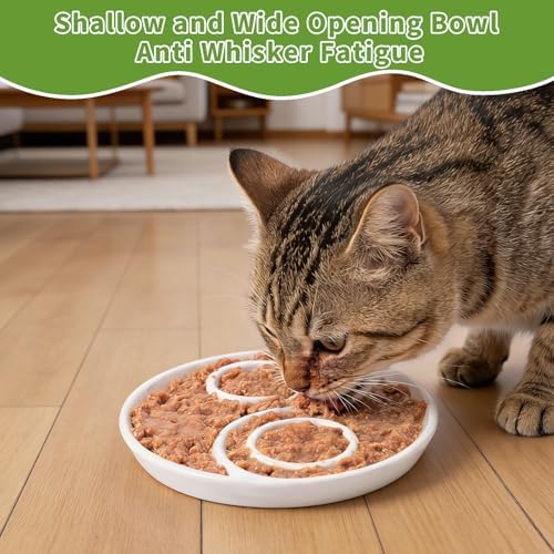 Ceramic Cat Slow Feeder,Shallow and Wide Opening Dish for Whisker Friendly - Image 5
