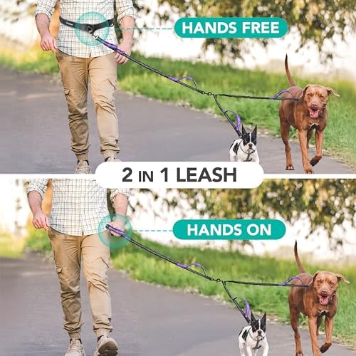 PetAmi Hands Free Double Dog Leash with Padded Lumbar Waist Belt, 360 No-Tangle Swivel Coupler, Bungee Shock Absorbing Dual Leash for Two Dogs Medium Large, Reflective, Purple - Image 6