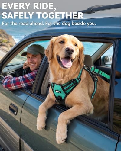 Joytale 3-in-1 Bungee Dog Seat Belt for Car, Medium and Large Dogs, Teal - Image 4
