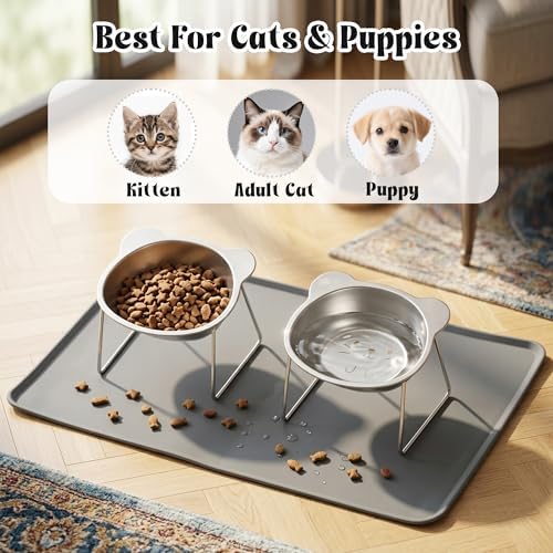 Elevated Cat Bowl with Food Mat - 2 Pack 15°Tilted Stand Raised Bowl, Stainless Steel Whisker Friendly Anti Vomiting Food Water Dishes, Silicone Feeding Mat for Cats Puppy Kitten Small Dog - Image 5