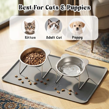 Elevated Cat Bowl with Food Mat - 2 Pack 15°Tilted Stand Raised Bowl, Stainless Steel Whisker Friendly Anti Vomiting Food Water Dishes, Silicone Feeding Mat for Cats Puppy Kitten Small Dog - Image 5