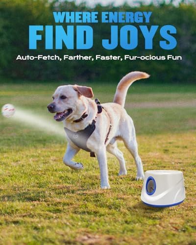 Automatic Dog Ball Thrower Launcher for Small to Medium Dogs, Tennis Machine Ball Thrower for Dogs, Interactive Dog Toys for Boredom, Games to Keep Them Busy, Includes 6 ETPU Balls, 2.3 Inch (BLUE) - Image 2
