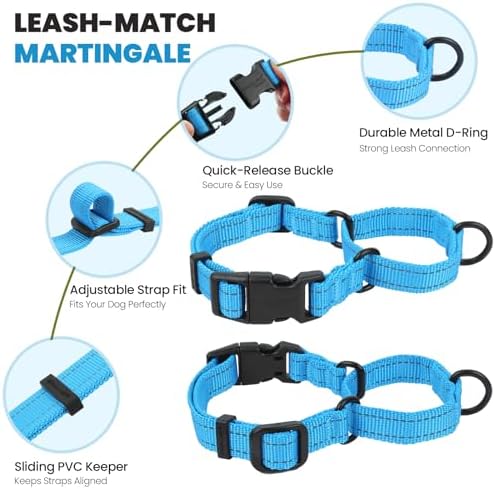 VIVAGLORY Double Handle Dog Leash Twingrip, 5ft x 1in, L, Blue - Image 4
