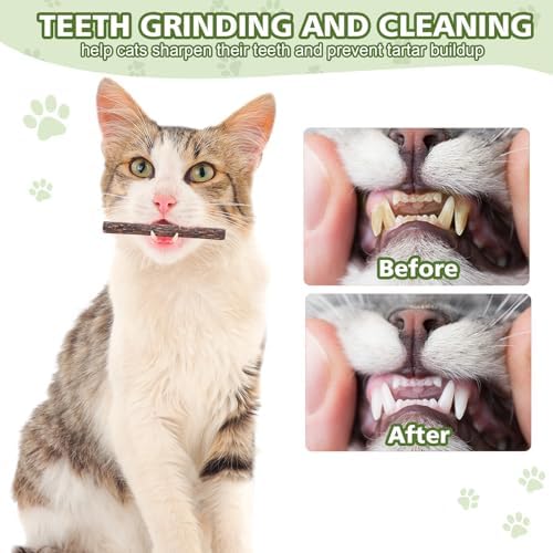 WOUSEDO 6 Pack Silvervine Sticks for Cat, Natural Catnip Toys - Image 5