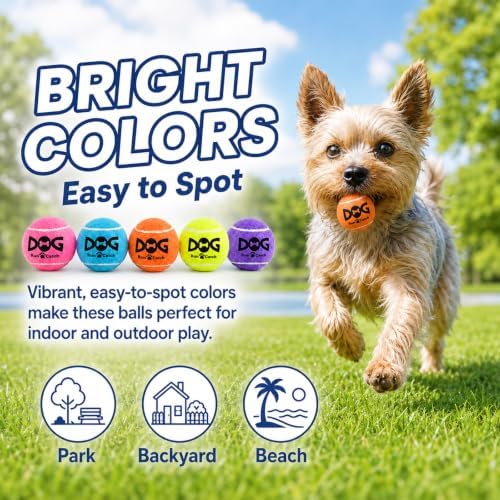 INSUM Small Tennis Balls for Dogs - 2 Inch 20 Pack Squeaky Dog Balls - Image 6
