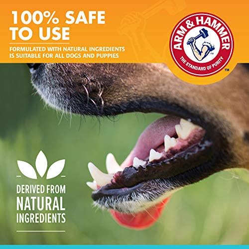 Arm & Hammer Fresh Breath Enzymatic Dog Toothpaste, Chicken Flavor, 2.5 Oz - Image 4