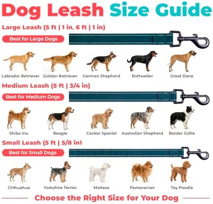 Best Pet Supplies Voyager Nylon Dog Leash - Blue, Large - Image 6