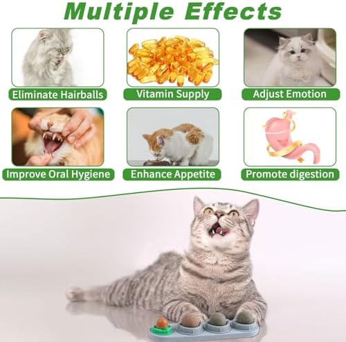CCINEE Catnip Balls for Cats Wall Catnip Toys Edible Cat Toys for Cat Lick Safe Healthy Kitten Chew Toys Teeth Cleaning Dental Cat Toys(4 Flavor) - Image 3