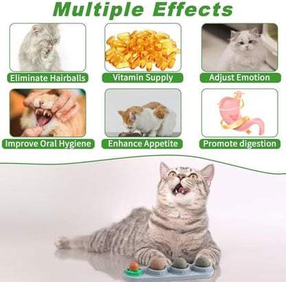 CCINEE Catnip Balls for Cats Wall Catnip Toys Edible Cat Toys for Cat Lick Safe Healthy Kitten Chew Toys Teeth Cleaning Dental Cat Toys(4 Flavor) - Image 3