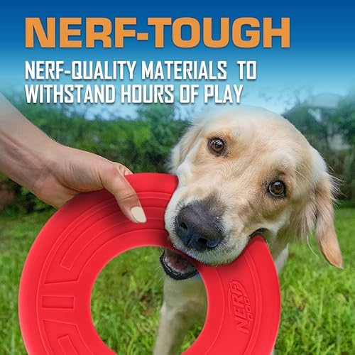 Nerf Dog Atomic Flyer Outdoor Dog Toy, 10 Inch Flying Disc Dog Fetch Toy, Rubber Dog Toy for Medium Dogs and Large Dogs, Red (Pack of 2) - Image 5