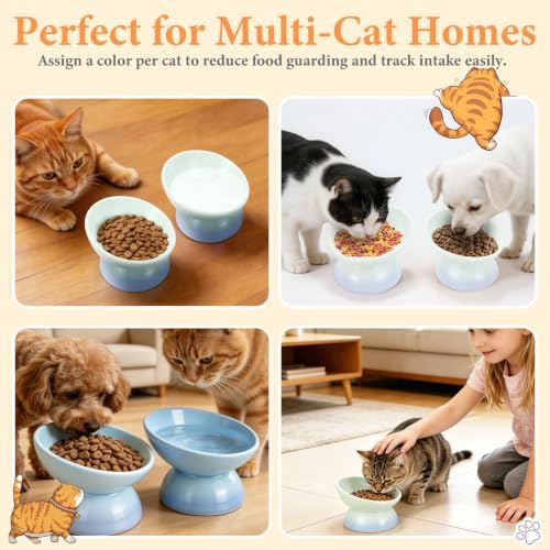 Elevated Cat Food Bowl 5 Oz Ceramic Raised Tilted Water Dishes, 15° Tilt Anti Vomiting, Protect Pets' Spines Bowls for Small Dog, Fat Faced Cat, Kitten - Image 7