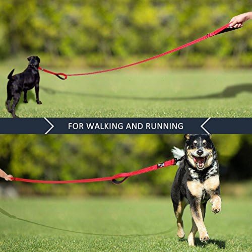 Plutus Pet Double Handle Dog Leash, 5 FT Long, for Medium Large Dogs - Image 6