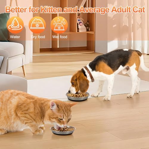 4 Pcs Stainless Steel Cat Bowls for Cats, Kittens & Small Dogs - Image 5