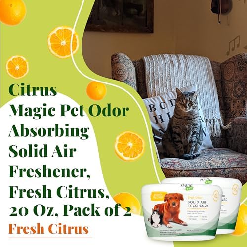 Citrus Magic Pet Solid Air Fresheners, Fresh Citrus, 20 Ounce, Pack of 2 - Image 3