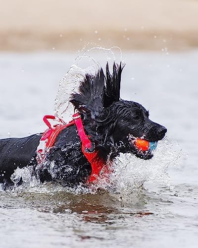Chuckit! Amphibious Fetch Balls (Set of 3) Paraflight Flying Disc Dog Toy, Large (9.75") - Image 3