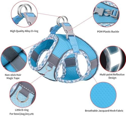 AIITLE Teacup Puppy Harness with Leash, Escape-Proof Design, Blue S - Image 6