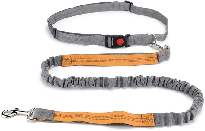 Hands Free Dog Leash, Retractable Dual Handle Bungee Leash, Adjustable Waist Dog Running Belt for Running, Walking, Training, Hiking, Traveling（Gray/Orange） (YUNDA9214)