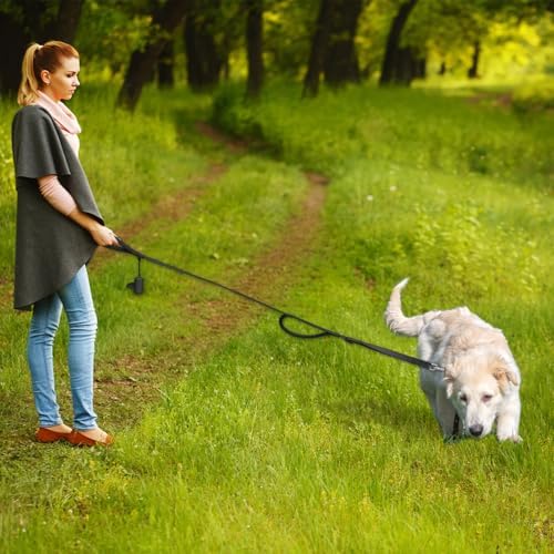 Wisedog Two Handles Dog Leash, Classic Black, S 0.8" x 4.2-5 ft - Image 5