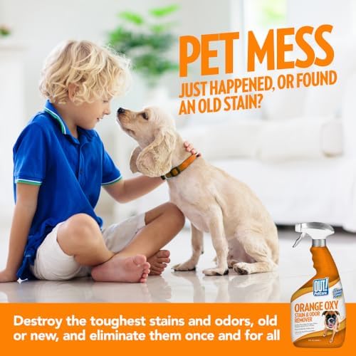 OUT! PetCare Orange Oxy Stain & Odor Remover | Oxy Clean Pet Stain and Odor Eliminator | 32 oz (Pack of 2) - Image 6