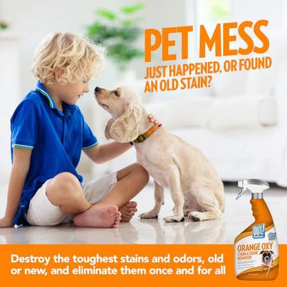 OUT! PetCare Orange Oxy Stain & Odor Remover | Oxy Clean Pet Stain and Odor Eliminator | 32 oz (Pack of 2) - Image 6