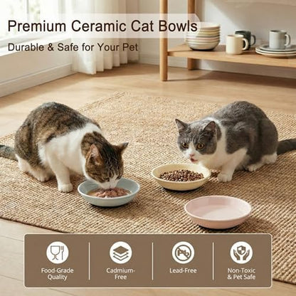 Ceramic Cat Food Bowls 6 Pack – Shallow Cat Bowl with Non-Slip Silicone Base, Whisker-Fatigue Dishes for Indoor Cats – Microwave Dishwasher Safe – 5.3 oz Colorful Pet Plates for Wet Dry Food Water - Image 6