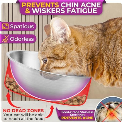 Raised cat Bowls for Indoor Cats by WinTruffles, Elevated cat Bowls, Tilted and Elevated Anti Vomiting Cat Dishes for Food and Water, Set of 3 Stainless Steel Bowl - Image 2