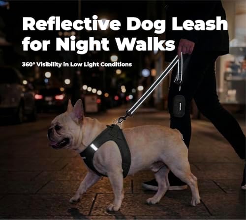 Best Pet Supplies Voyager Nylon Dog Leash - Black, Large - Image 4
