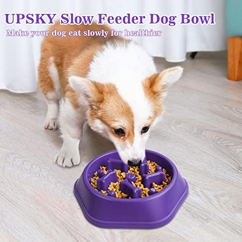UPSKY Slow Feeder Dog Bowl Anti-Chocking Slower Feeding Pet Puzzle Bowls - Image 6