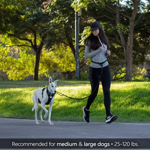 Waist Leash for Dog Walking, Waist Dog Leash for Running, Hands Free with Metal Quick-Release Buckle, Rope Bungee, Neoprene Lumbar Support - Image 6