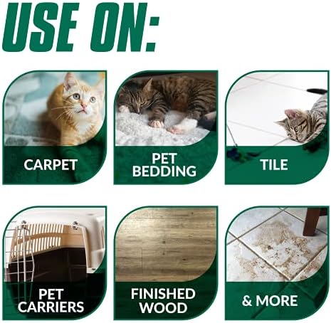 Simple Green Cat Stain & Odor Remover - Enzyme Cleaner for Cat Urine, Feces, Blood, Vomit (1 Gallon Refill) (Pack of 2) - Image 4