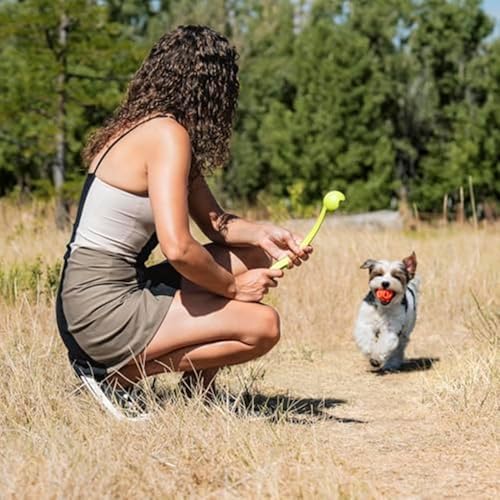 Chuckit! Air Fetch Ball Dog Toy, Medium 2.5in, 2 Pack - Image 2