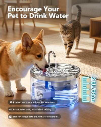 WEPIOU 95oz/2.8L Glass Cat Water Fountain, Multi-Stage Filter, Ultra-Quiet - Image 6