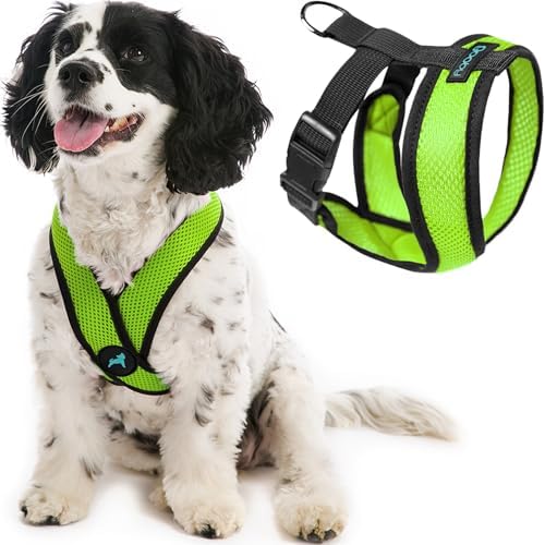 Gooby Comfort X Head-in Dog Harness, Choke-Free, Green, Large by Gooby