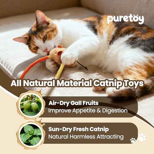 Cat Chew Ropes with Catnip Mouse, 3Pcs Cat Chew Toys for Large Cats Enrichment, 3-in-1 Catnip Toys Mouse & Strong Braided Ropes & Gall Fruits, Cats Teething Toys - Image 3