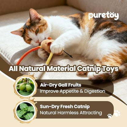 Cat Chew Ropes with Catnip Mouse, 3Pcs Cat Chew Toys for Large Cats Enrichment, 3-in-1 Catnip Toys Mouse & Strong Braided Ropes & Gall Fruits, Cats Teething Toys - Image 3