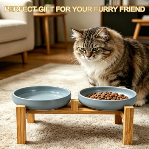 Shallow Elevated Cat Bowls with Bamboo Stand, 6.1 Inch Wide Ceramic Cat Dish Whisker Friendly, 2 Pack Pet Food and Water Plates - Image 5