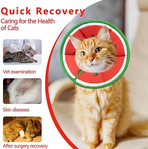 Soft Adjustable Cat Cone Collar, Comfortable Cat Recovery Collar - Image 5