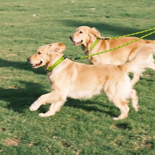 Taglory Double Dog Leash Coupler for Two Dogs, 1/3" Lightweight Dual Leash Extension for Small and Medium Dogs, No Tangle 360° Swivel, Reflective Rope, 30 Inch, Green - Image 7